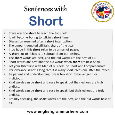 define in short|in short in a sentence.